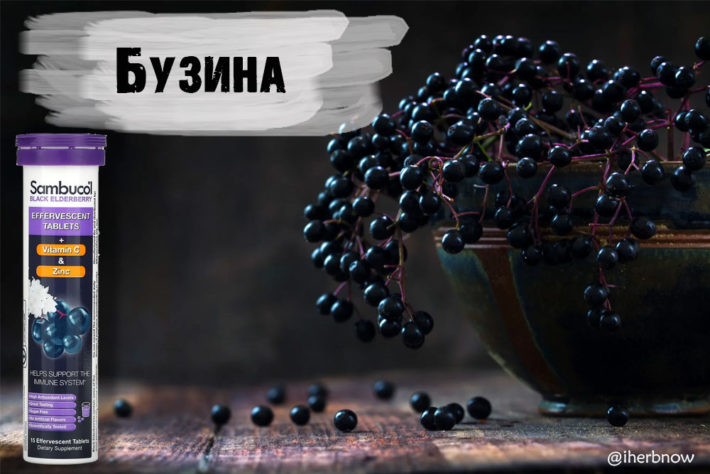 Бузина черная польза