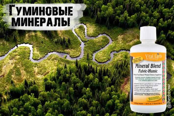 Гуминовые и фульвовые минералы и кислоты свойства